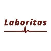 Logo Laboritas - klant van Agressie Begrenst