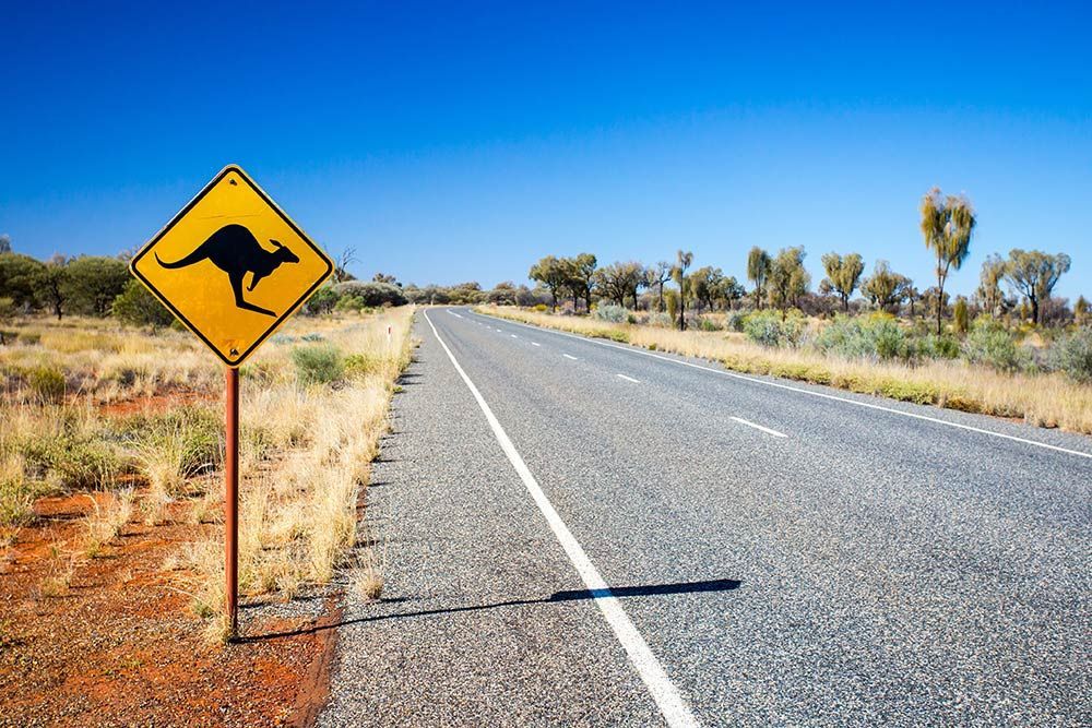 Yellow Sign With A Kangaroo On It Is On The Side Of A Road — Ian Brown Sand Supplies and Tipper Hire In Wauchope, NSW