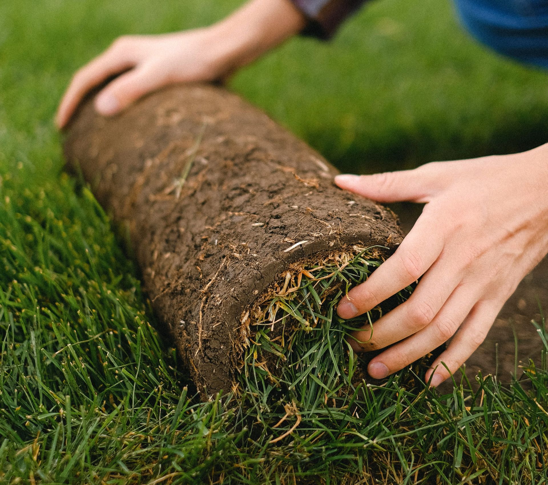 landscape supplies port macquarie