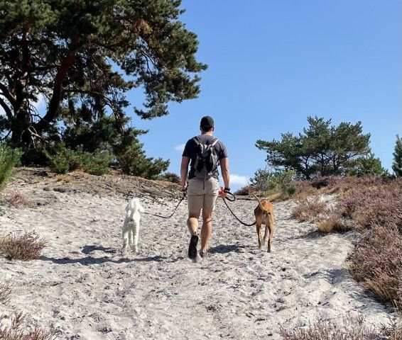 Alexander loopt met zijn honden over de hei