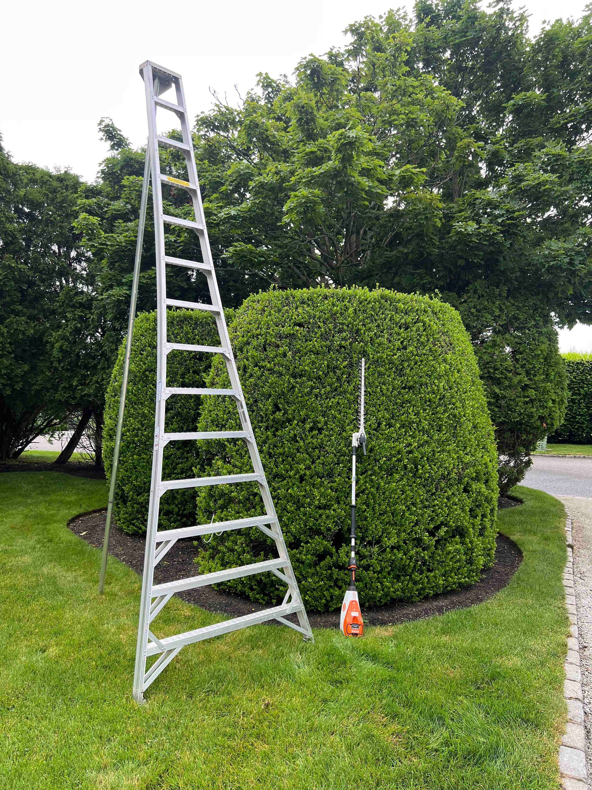 A car is parked on the side of a gravel driveway next to a hedge.
