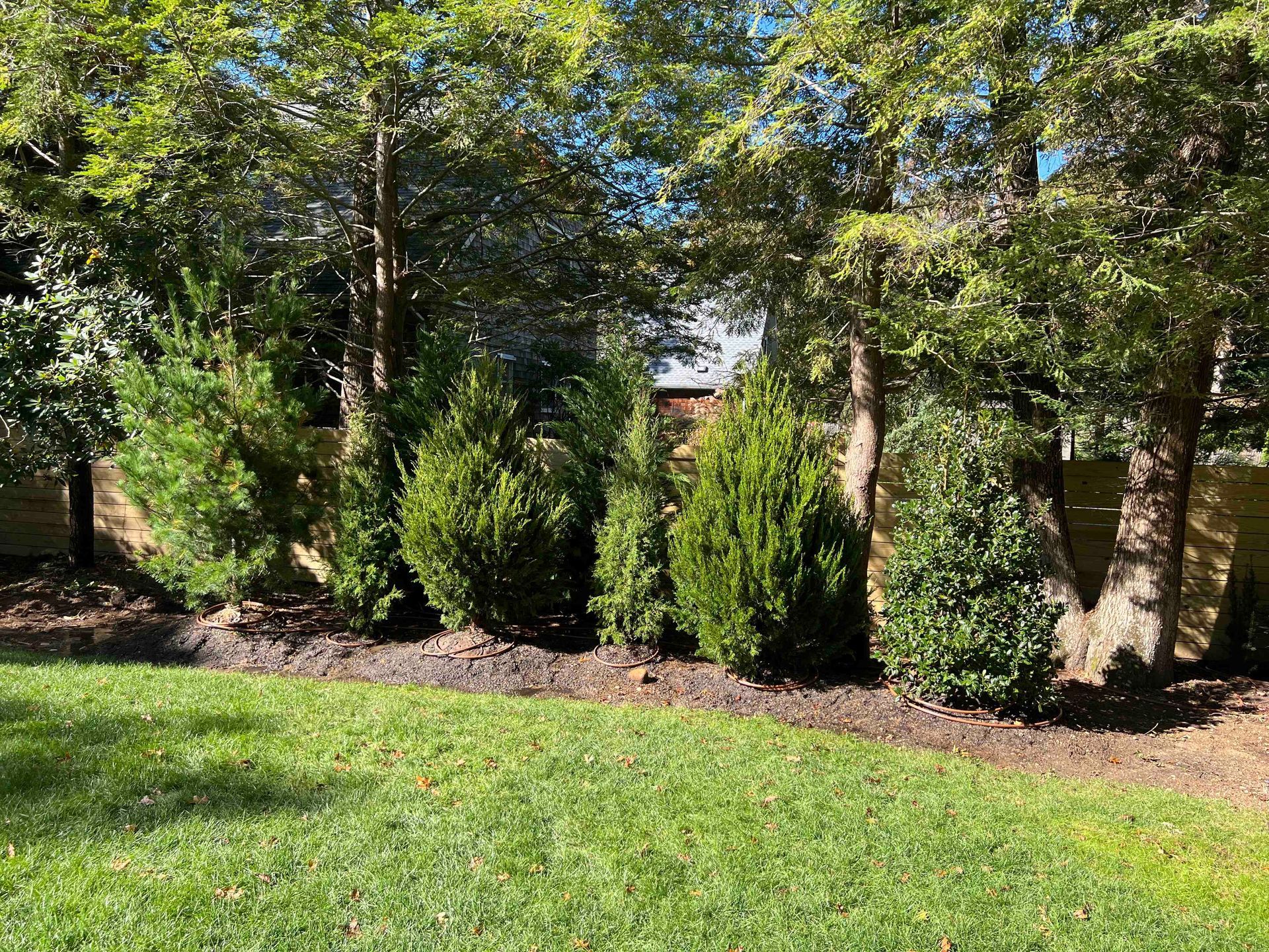 A man is planting trees in front of a house