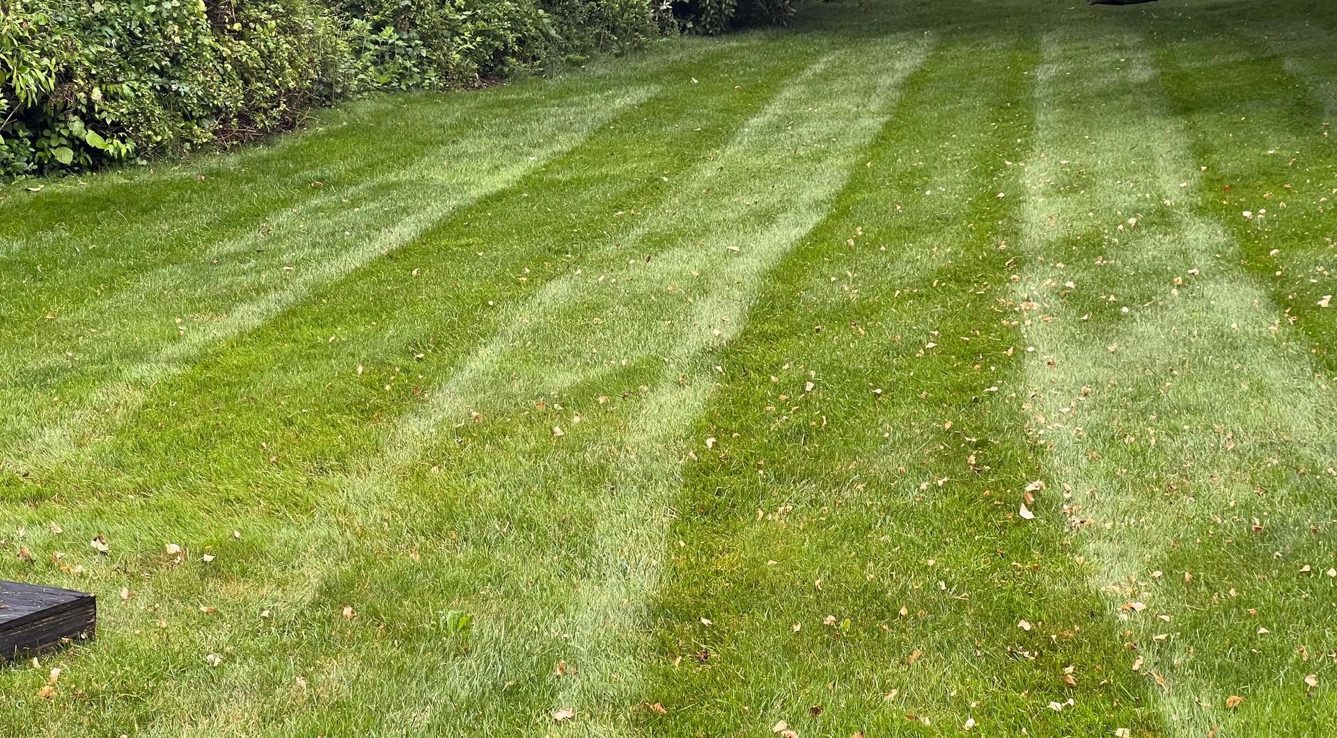 A close up of a lush green lawn with a striped pattern.