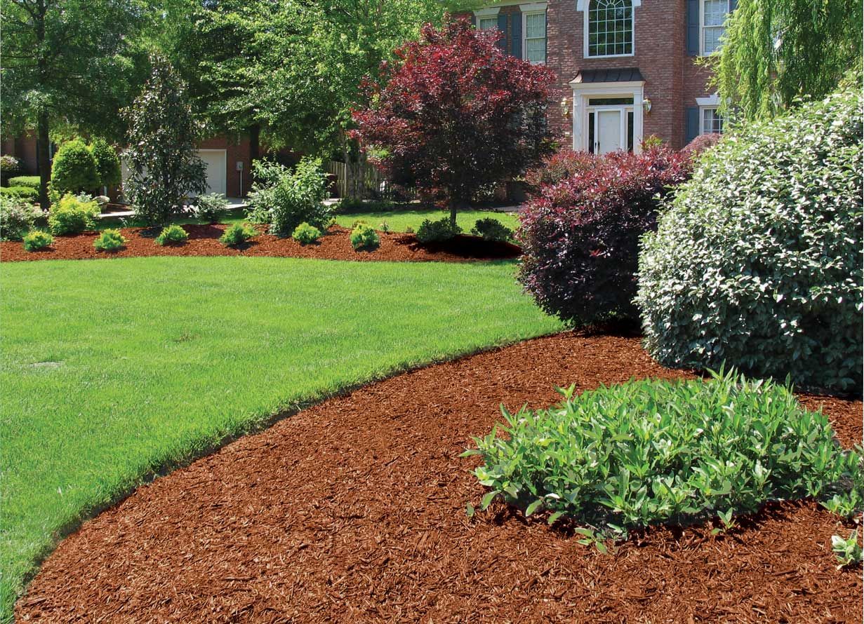 A lush green lawn is surrounded by brown mulch