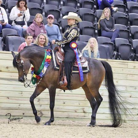 A rider in western attire and a cowboy hat sits on a brown horse wearing a colorful award ribbon in an arena.