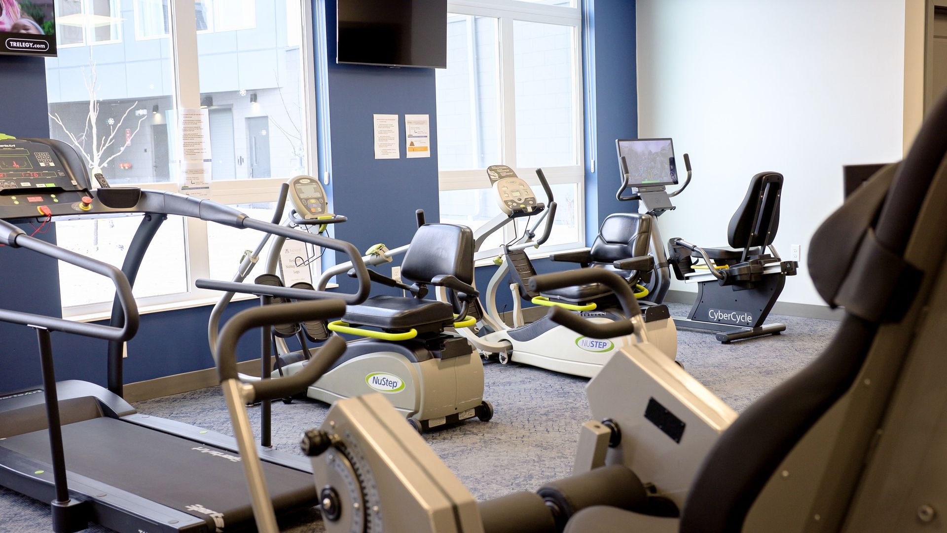 A bright gym interior featuring a treadmill, stationary bikes, and an exercise machine, set against blue-walled windows.