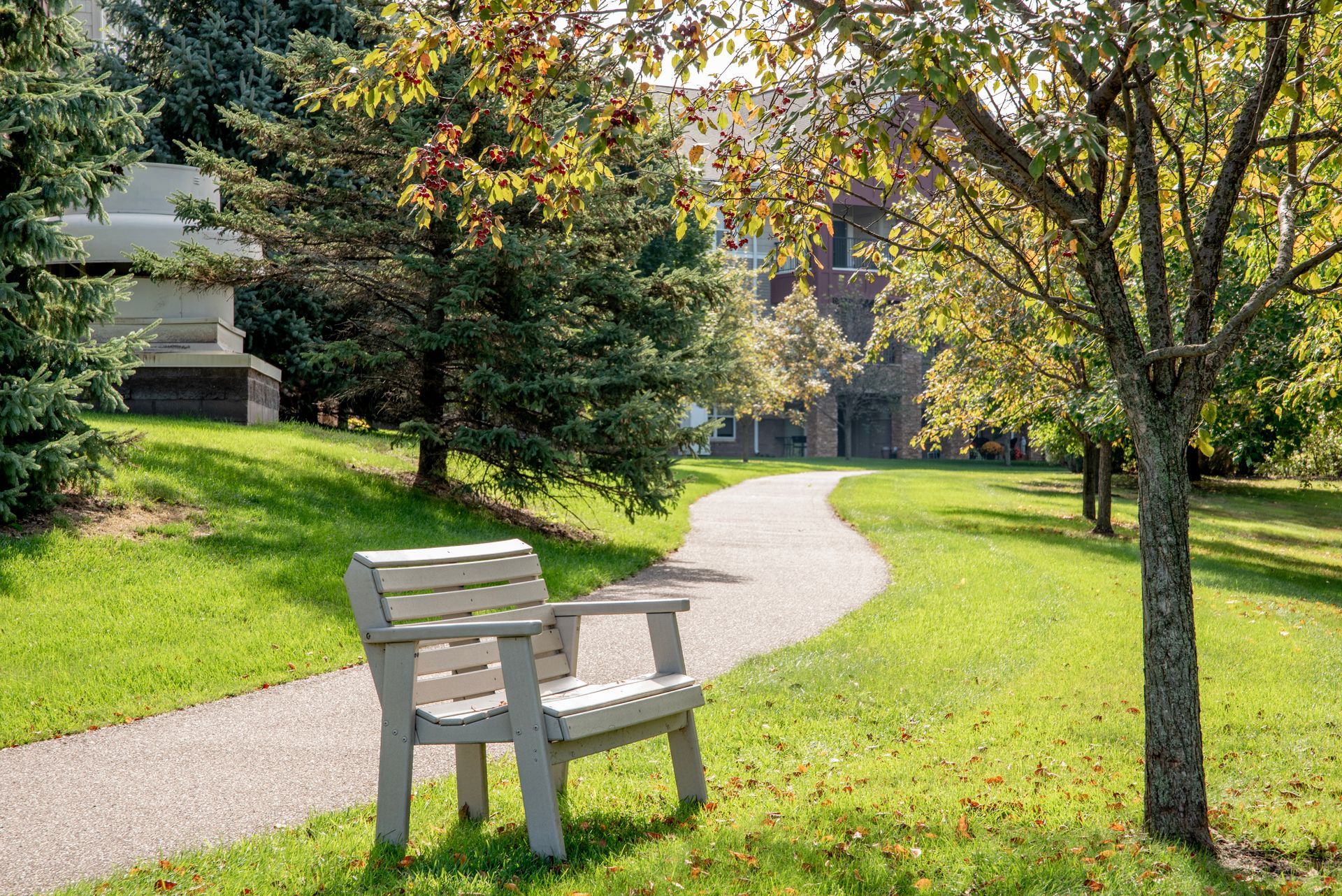 A light-colored wooden park bench sits on a grassy lawn beside a gravel path, with trees and a building in the background.