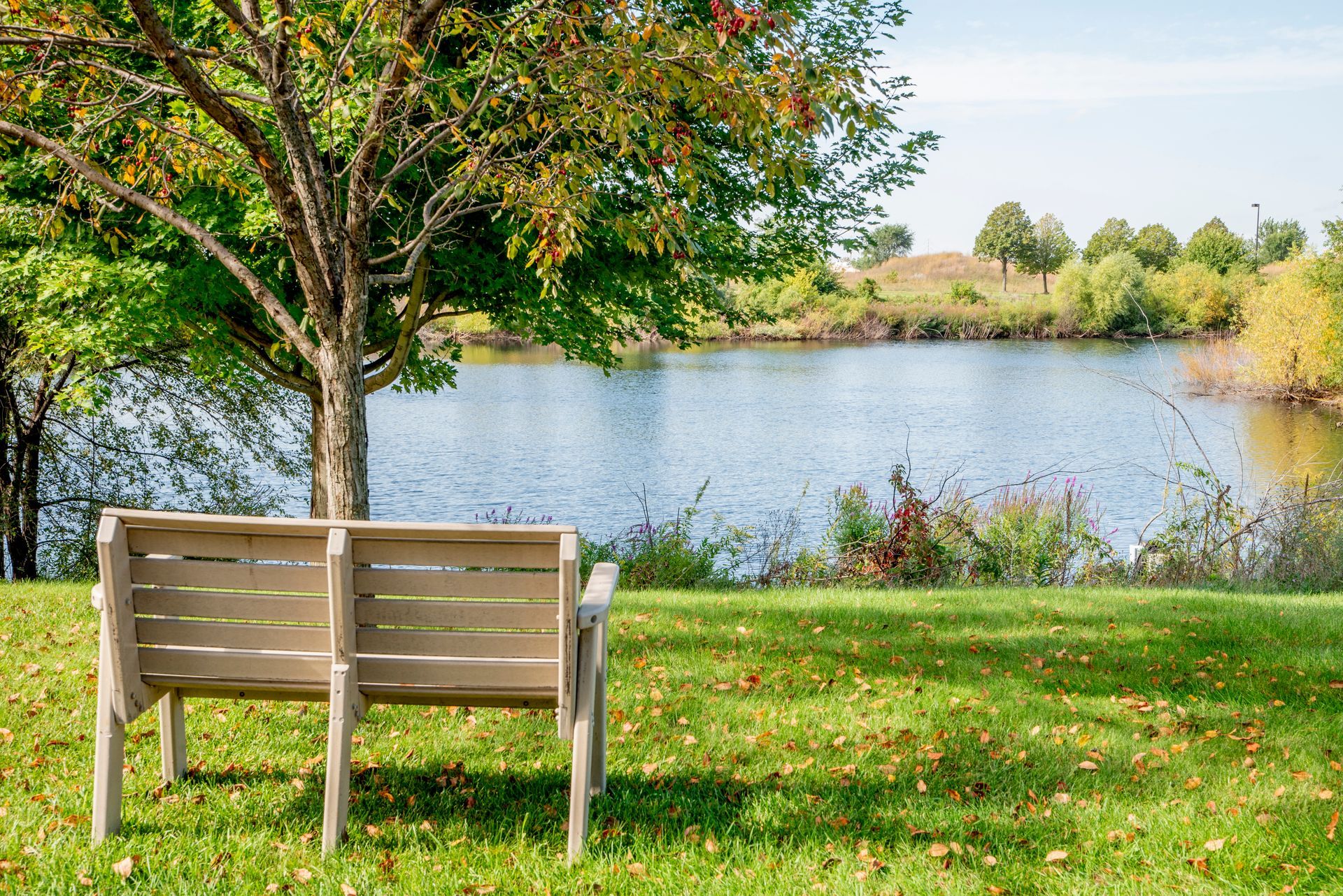 A wooden bench sits on a grassy lawn under a leafy tree overlooking a calm lake on a bright, sunny day.