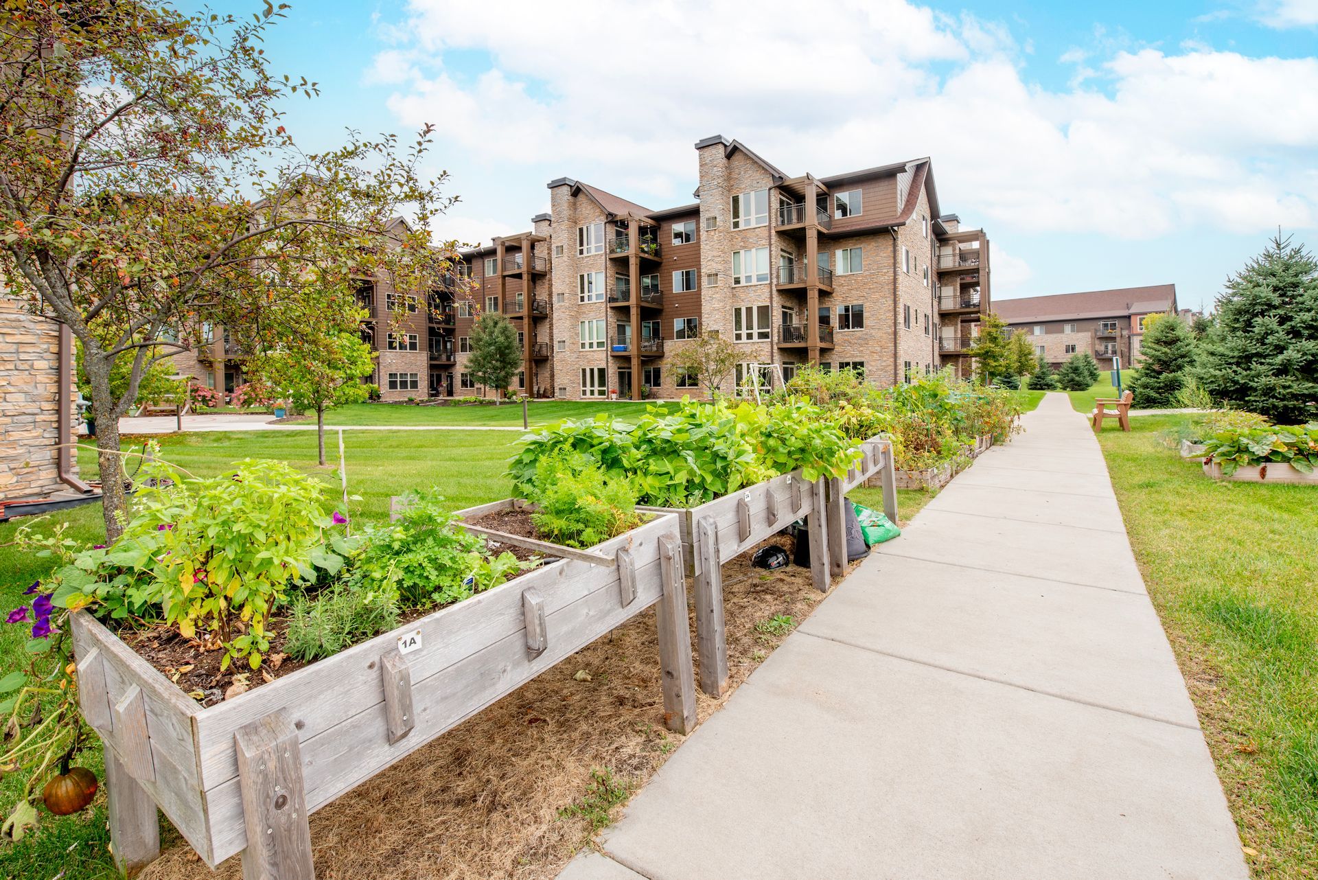 Apartment building beside a sidewalk and raised garden beds under a bright blue sky