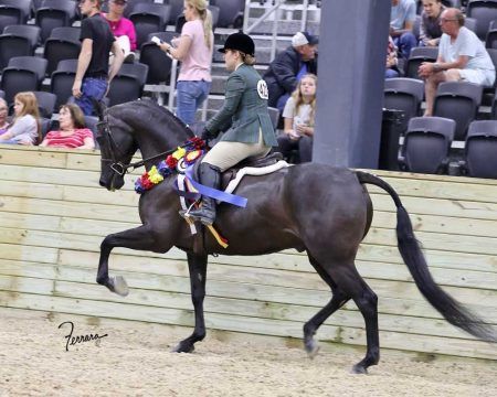 A rider in a green show coat and helmet rides a dark horse with a decorative ribbon sash in a dirt arena.
