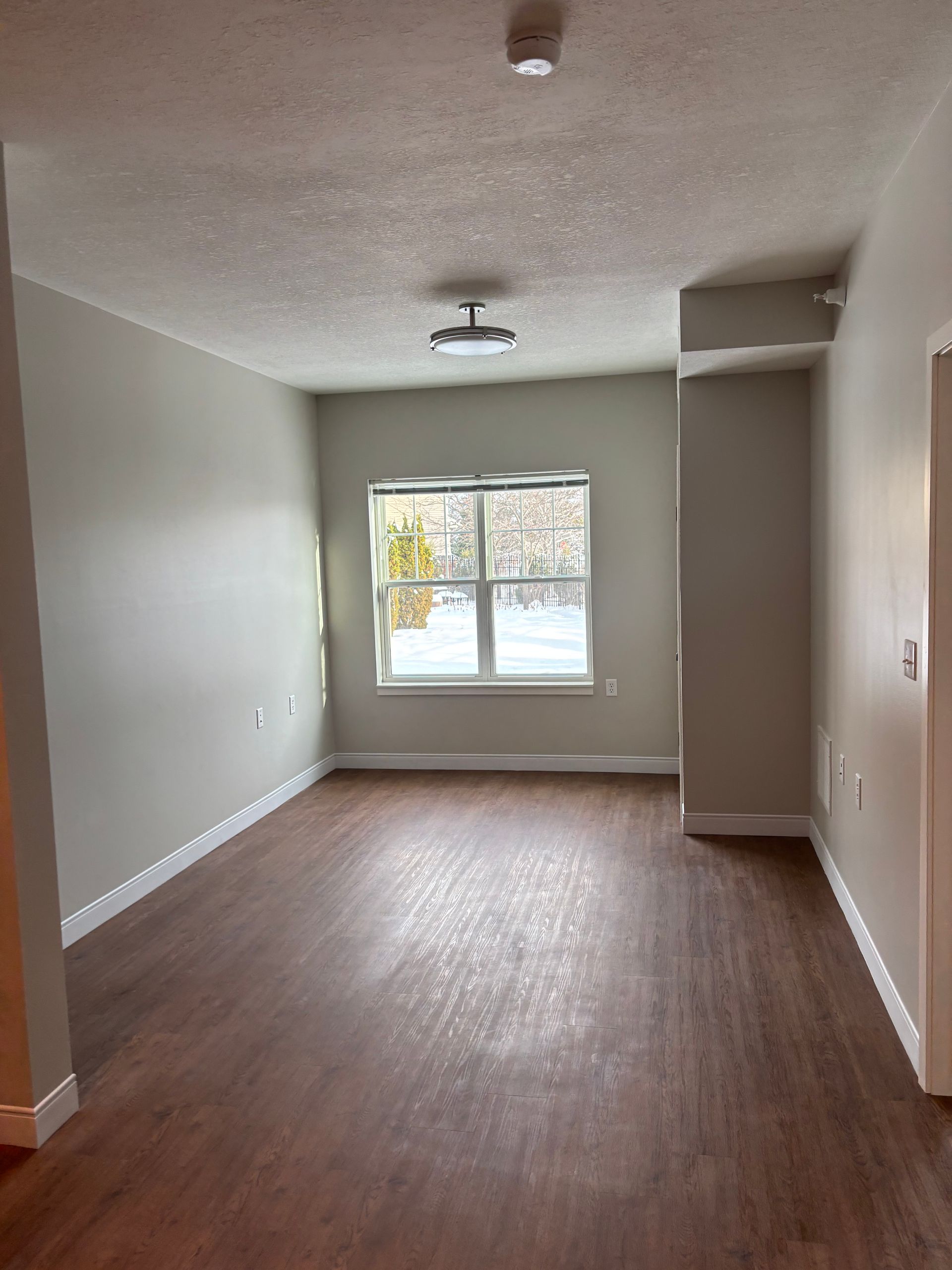 Empty room with light gray walls, dark wood-look flooring, and a single window looking out at a snowy landscape.