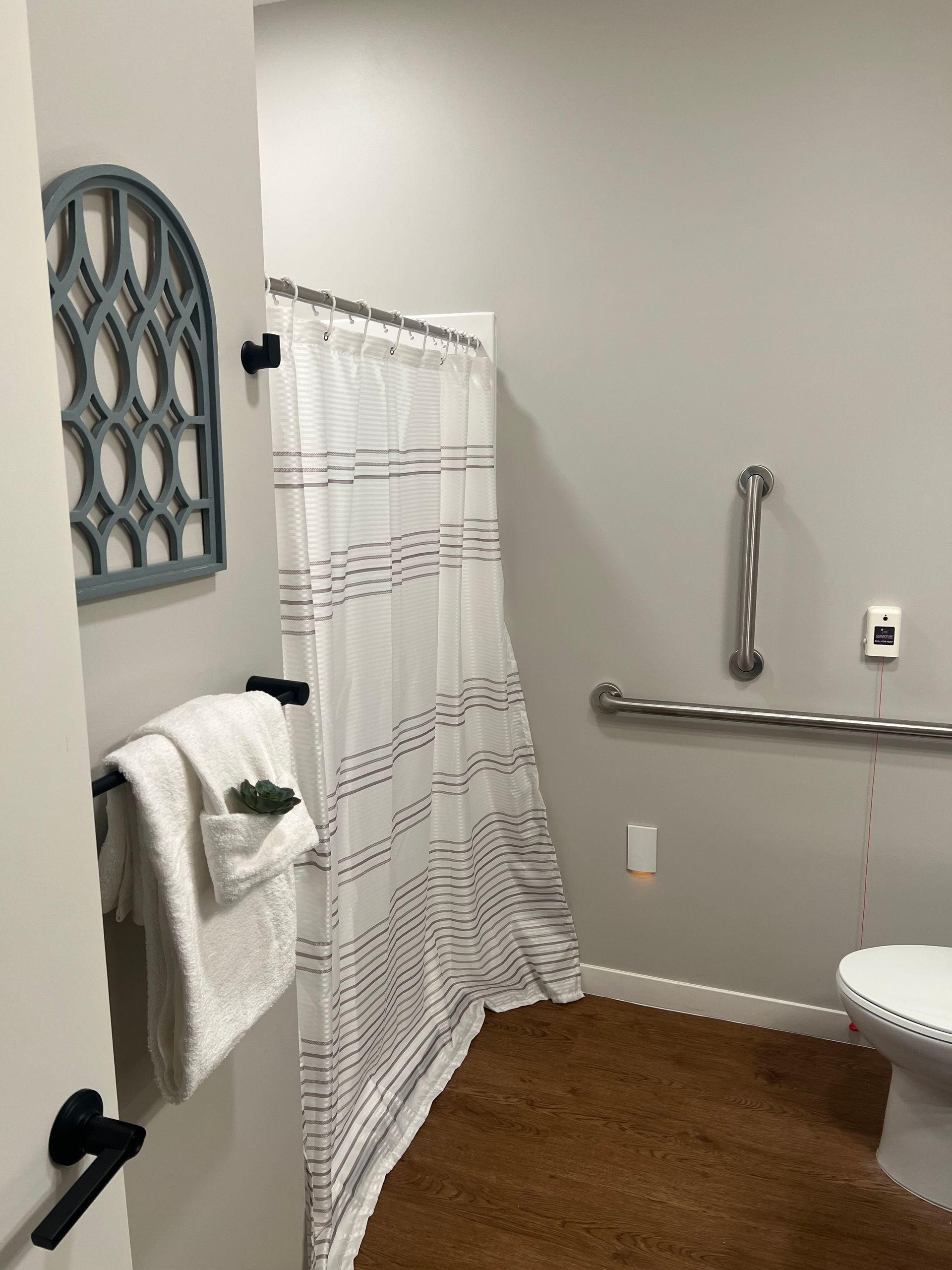 Accessible bathroom with a white shower curtain, safety grab bars near a toilet, and a decorative wall accent.