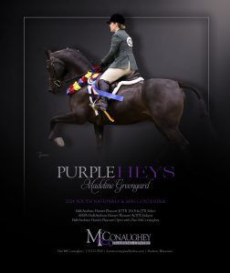 A rider in formal equestrian attire sits on a dark horse adorned with prize ribbons against a black background.