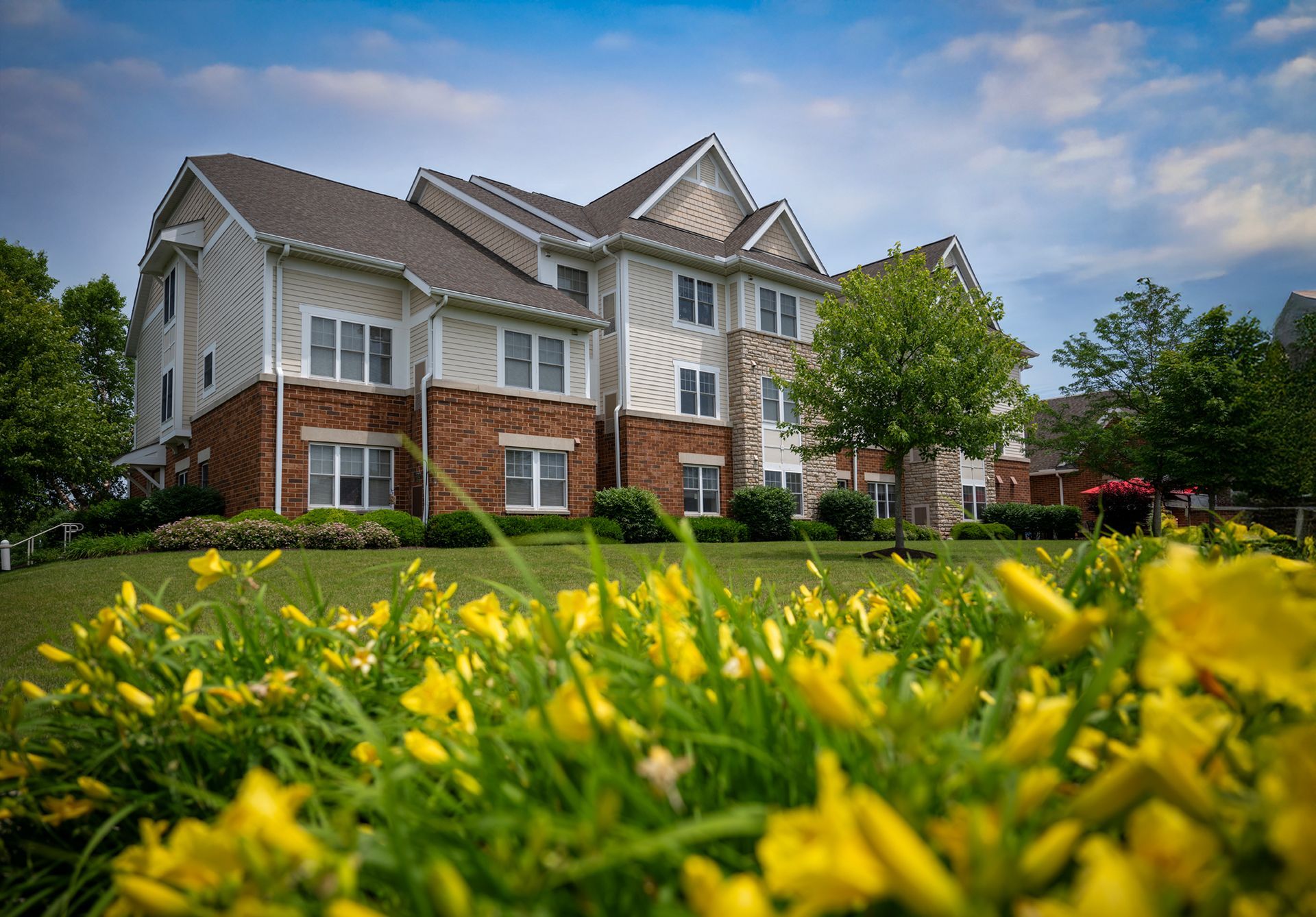 Apartment building with brick and siding, seen behind a foreground of bright yellow flowers and greenery.