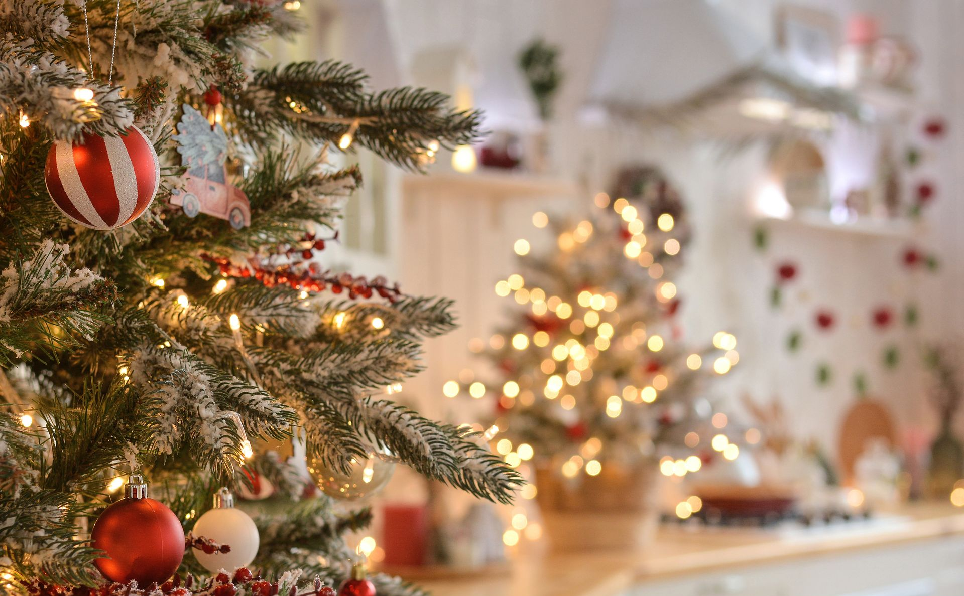 Two decorated Christmas trees with warm, glowing lights in a cozy, festive kitchen setting.