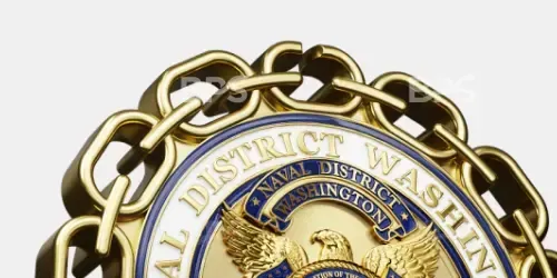 Close-up of a gold chain and circular Washington, D.C. seal badge