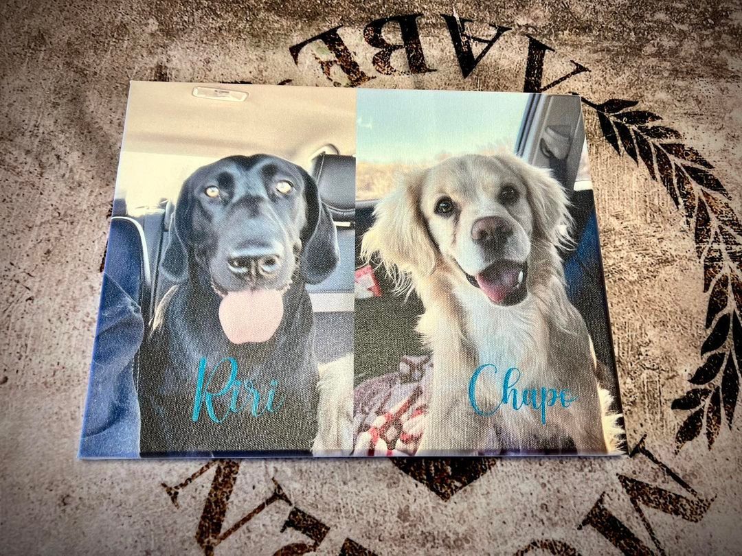 Canvas print: Two dogs. Black lab with tongue out, light blue text 