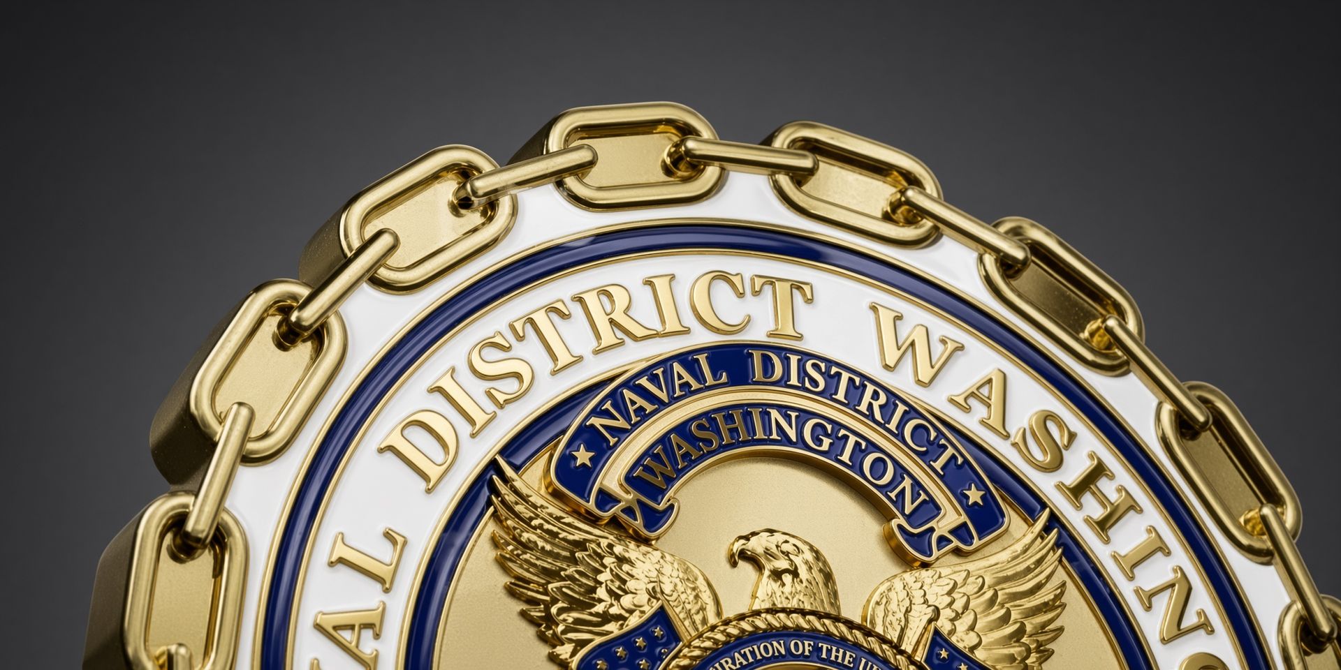 Gold and blue seal of the District of Washington, shown partially with a chain border