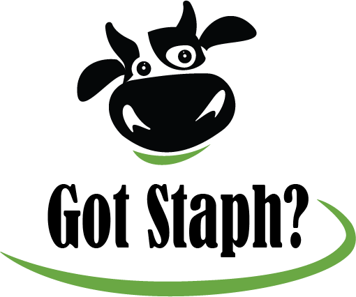 Black-and-white cartoon cow above “Got Staph?” with green swoosh underneath