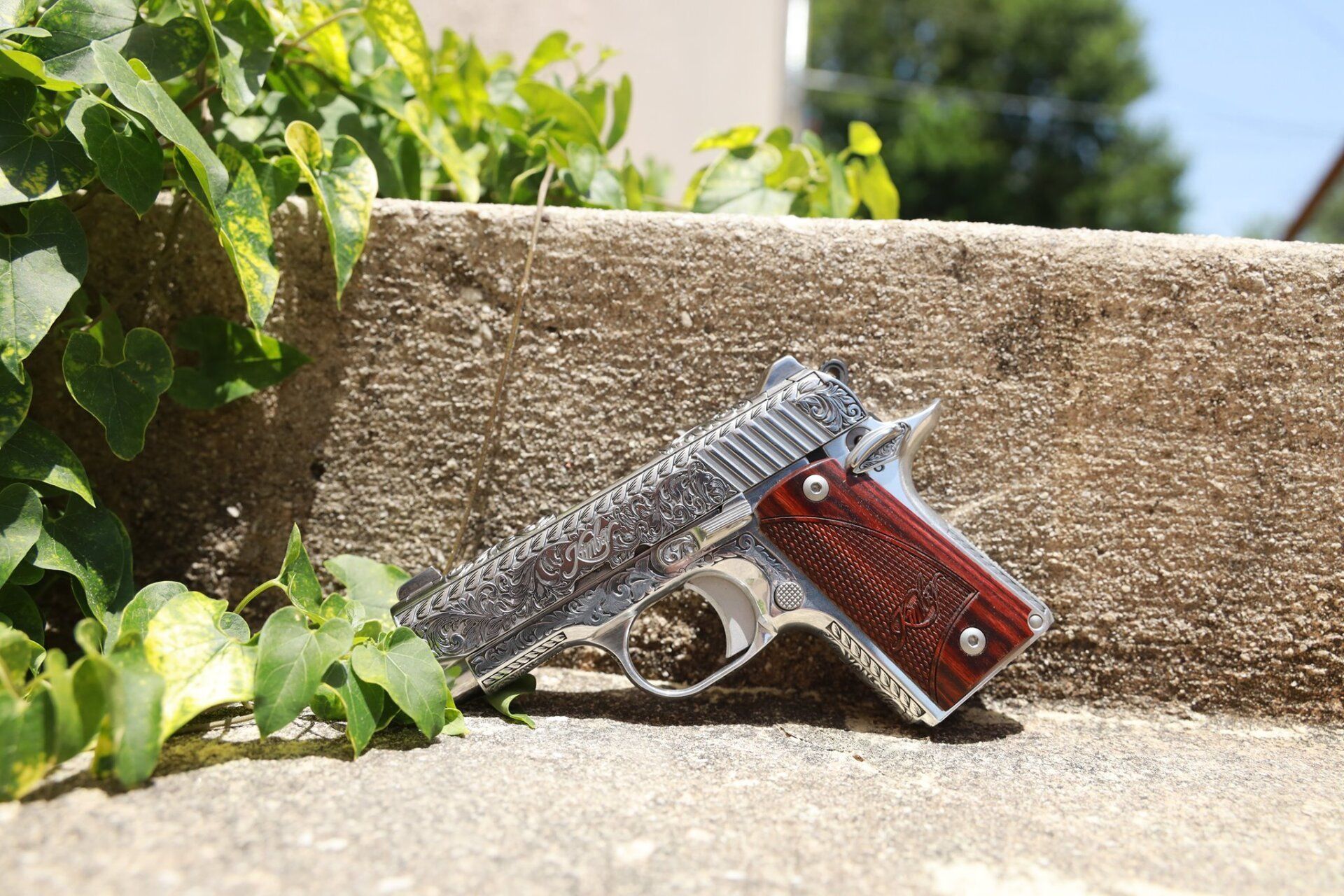 Silver handgun with red grip leaning against a concrete wall beside green leaves in sunlight