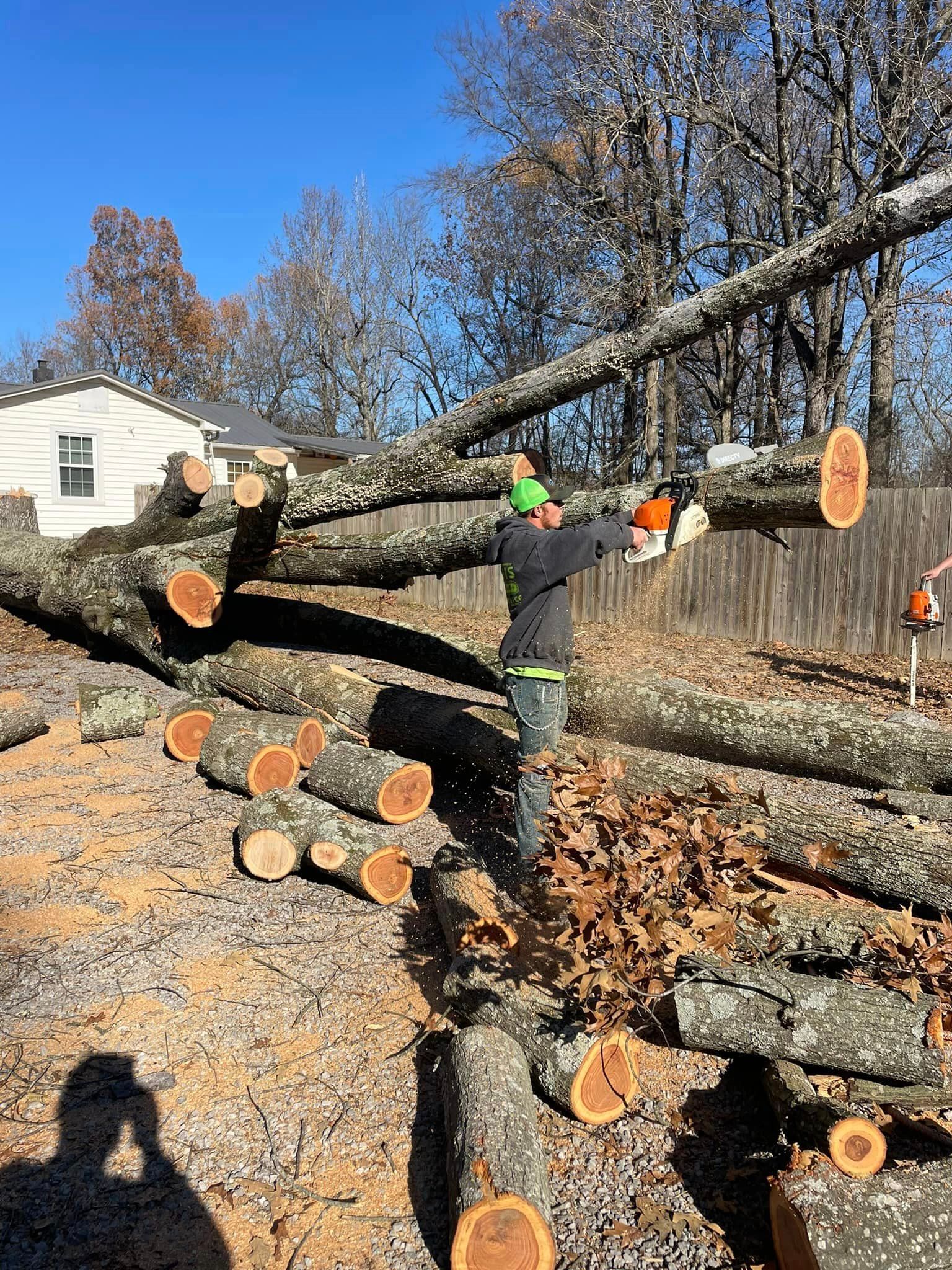 dead wood removal