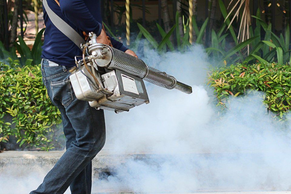 interventi di pest control