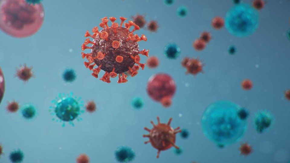 virus