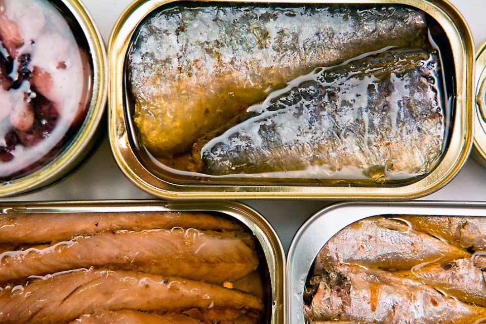 contenitore in latta per filetti di pesce