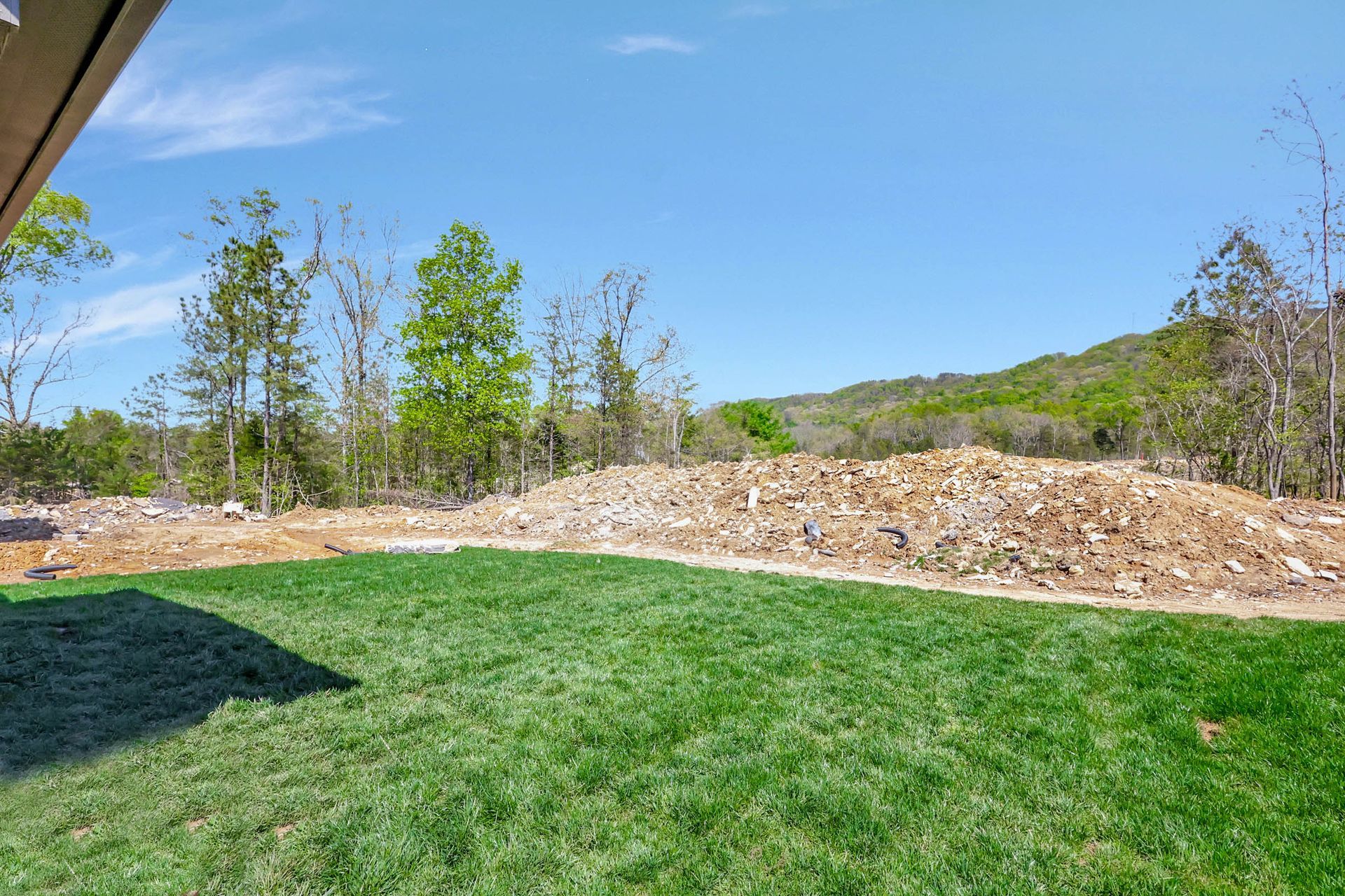 A large lawn with a lot of grass and trees in the background.