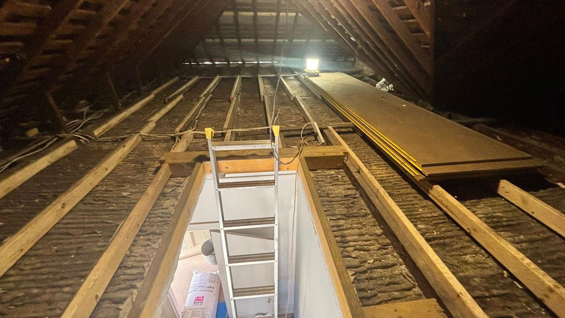 Attic interior with exposed beams, floor joists, and a ladder opening below.