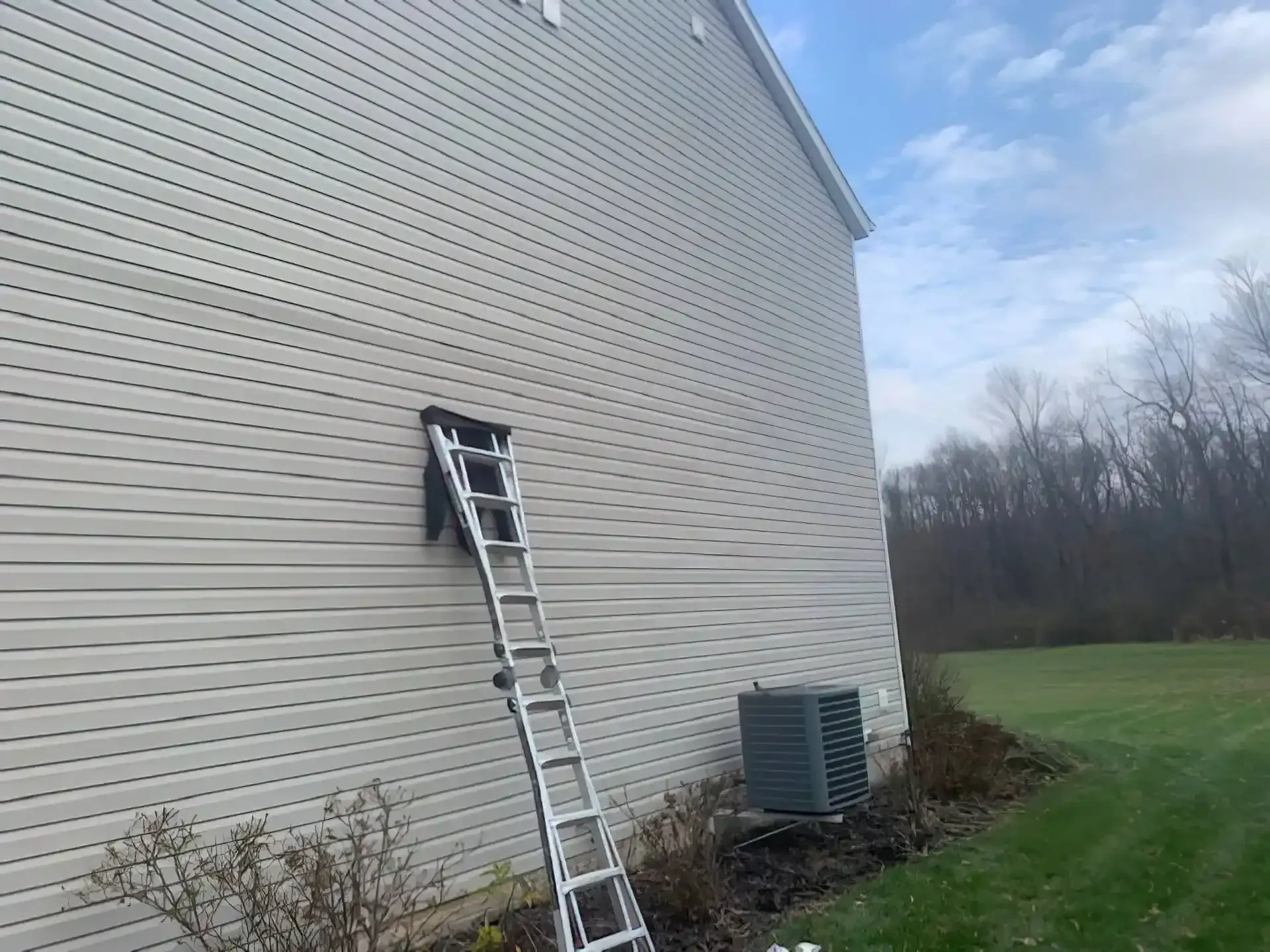 An extension ladder leaning against the light-colored vinyl siding of a house, positioned above some landscaping.