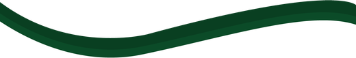A dark green, thick, horizontal wavy line against a plain white background.