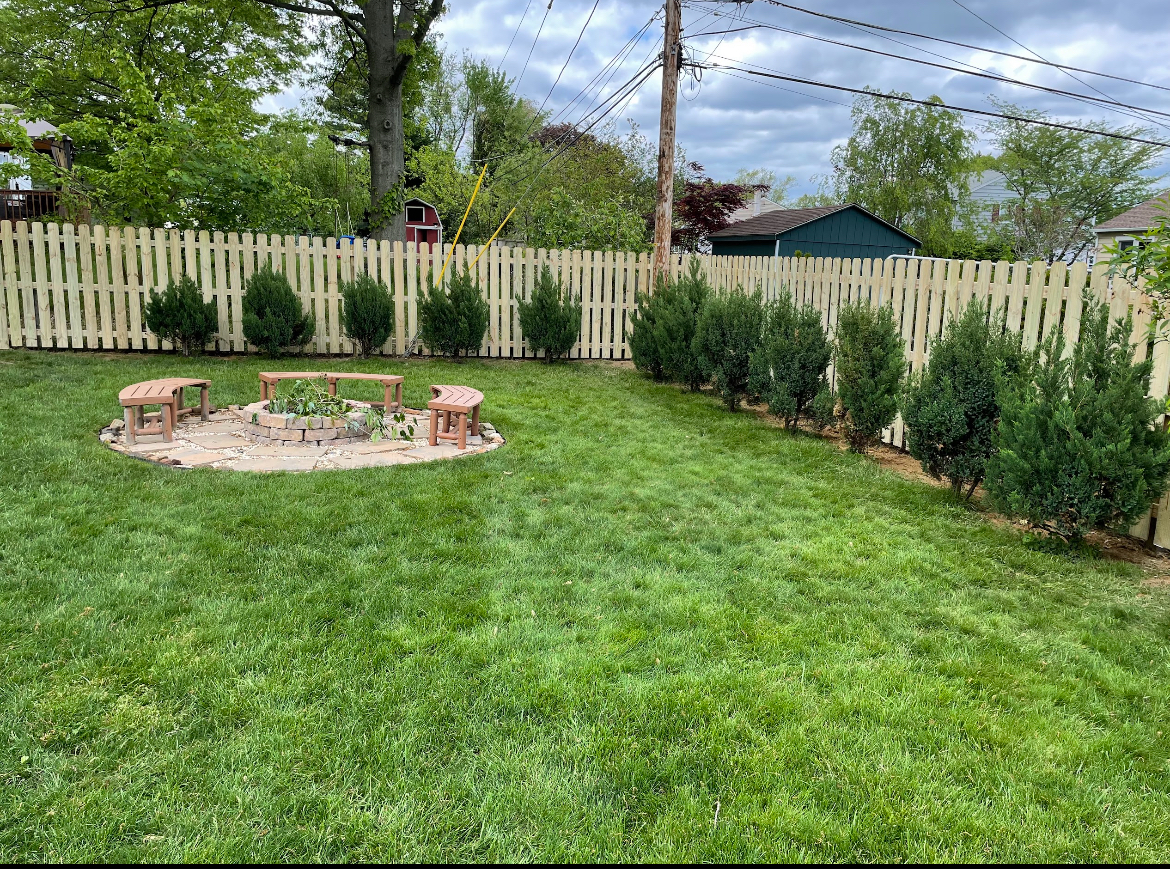 Backyard lawn with circular stone fire pit, white fence, and evergreen shrubs under string lights