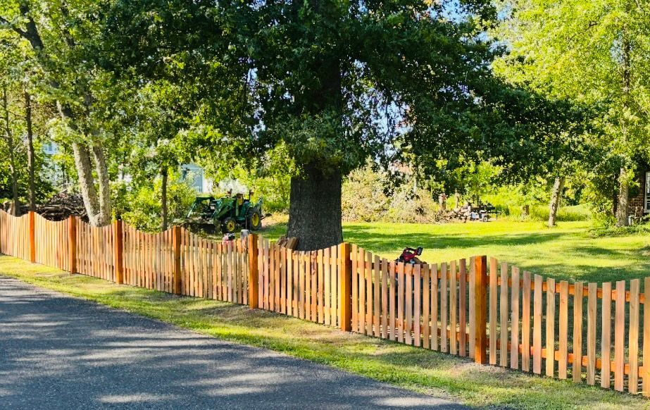 Sunny yard with a wooden fence, large tree, and grassy lawn beside a road