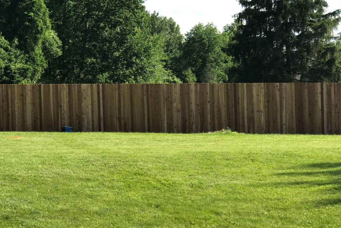 Grassy backyard with a wooden fence and trees in the background