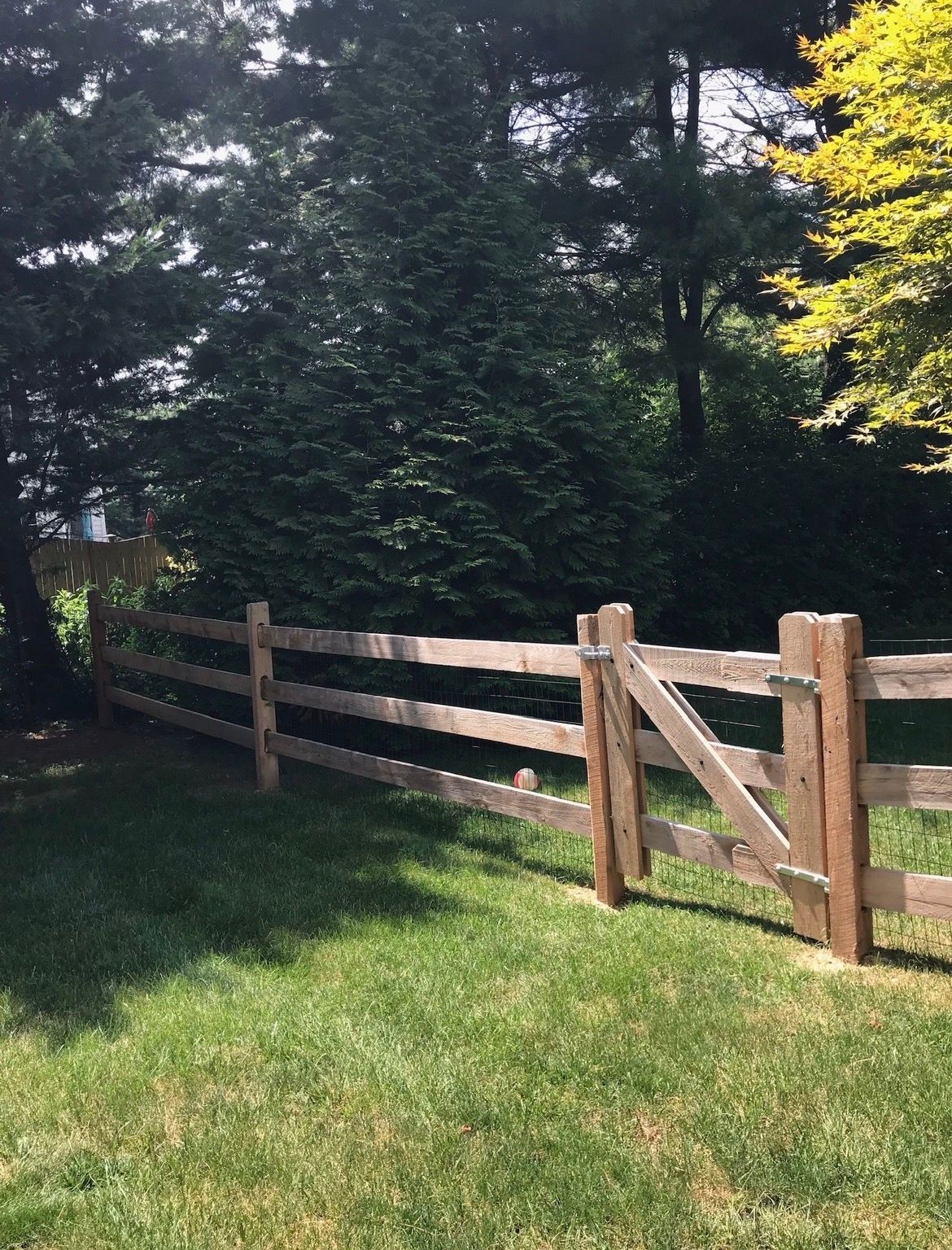 Wooden fence and gate in a grassy yard beside dense trees and sunlight.