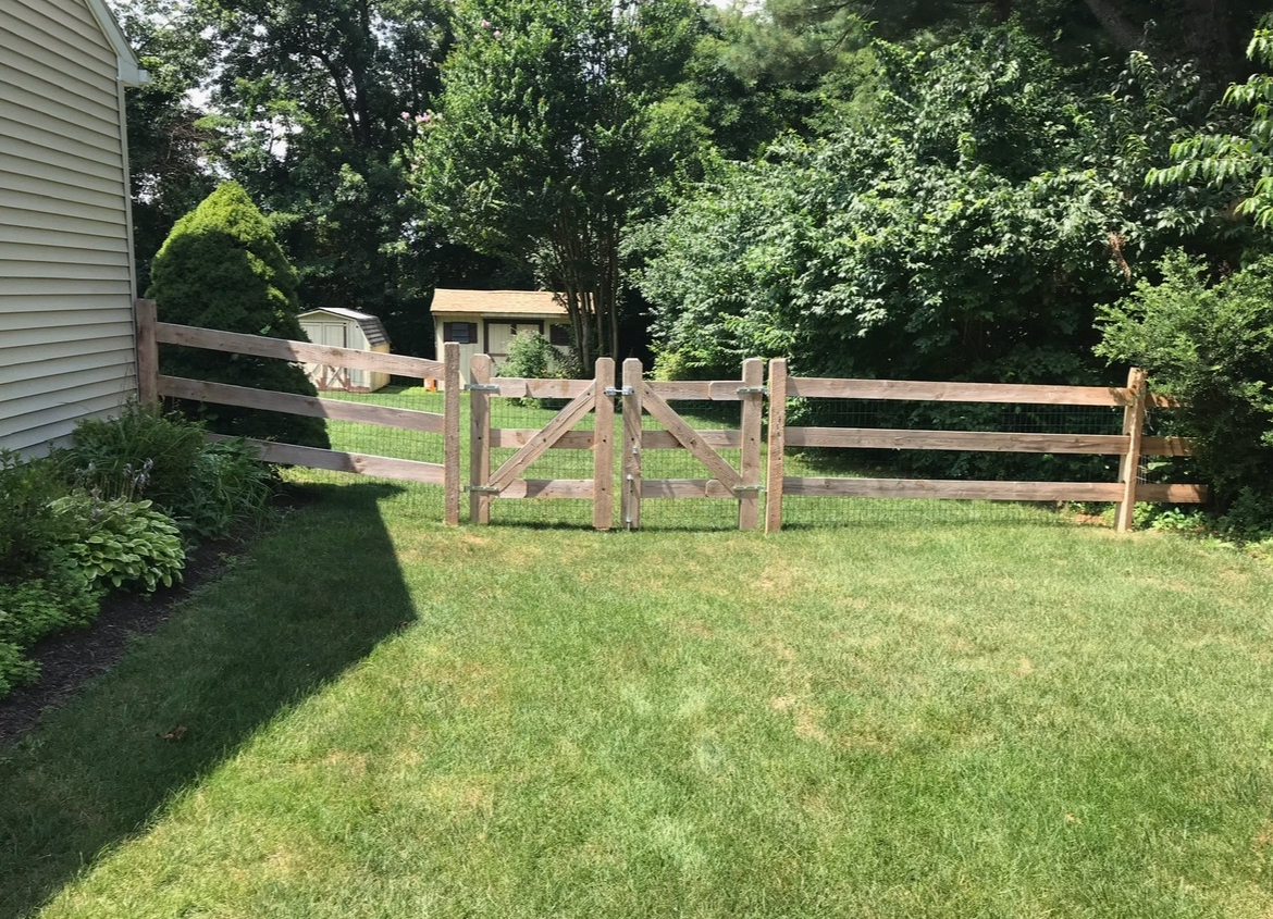 Backyard with a wooden fence gate, green lawn, and trees in bright sunlight
