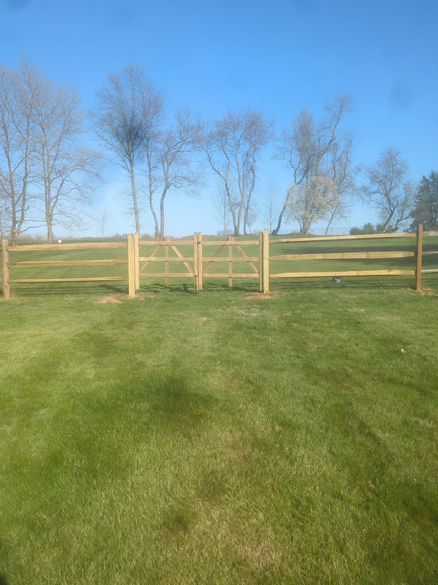 Grassy field with a wooden fence and bare trees under a clear blue sky