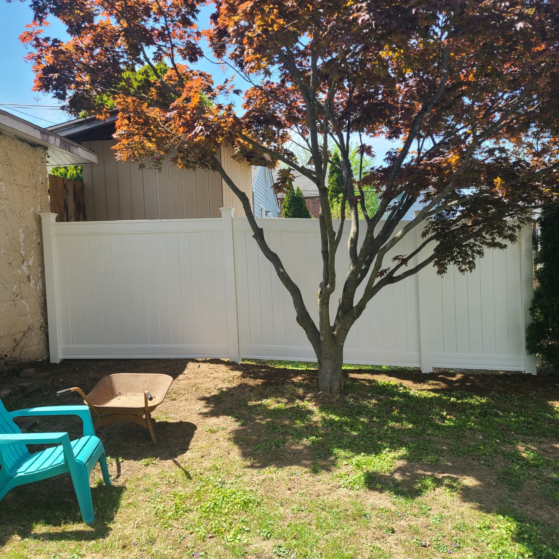 Backyard with a white fence, small tree, and turquoise chairs on a sunny lawn