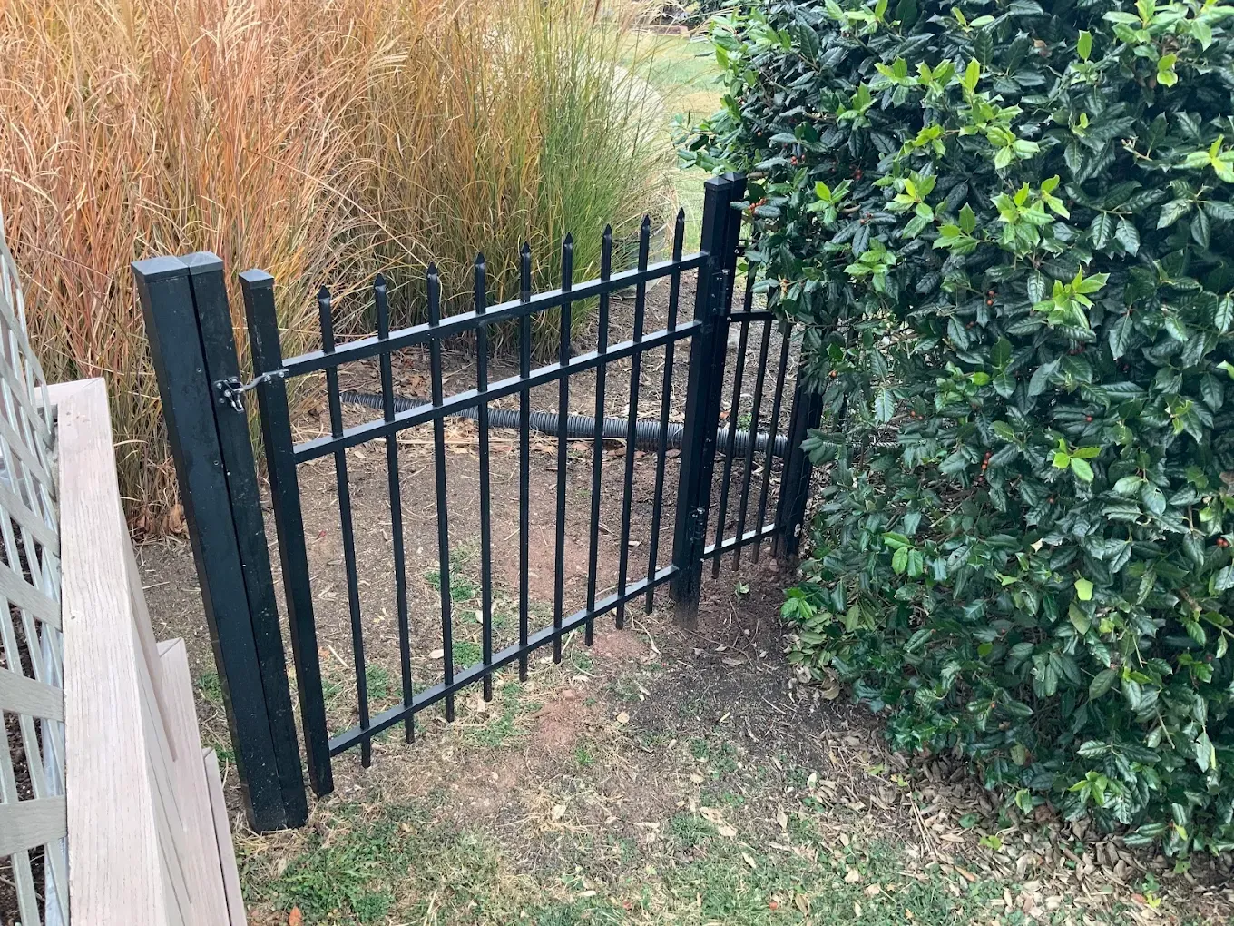 Black metal garden gate beside a hedge, opening onto a dirt path.