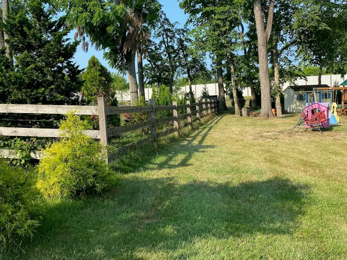 Sunny backyard with wooden fence, trees, grassy path, and a pink child’s toy near a shed