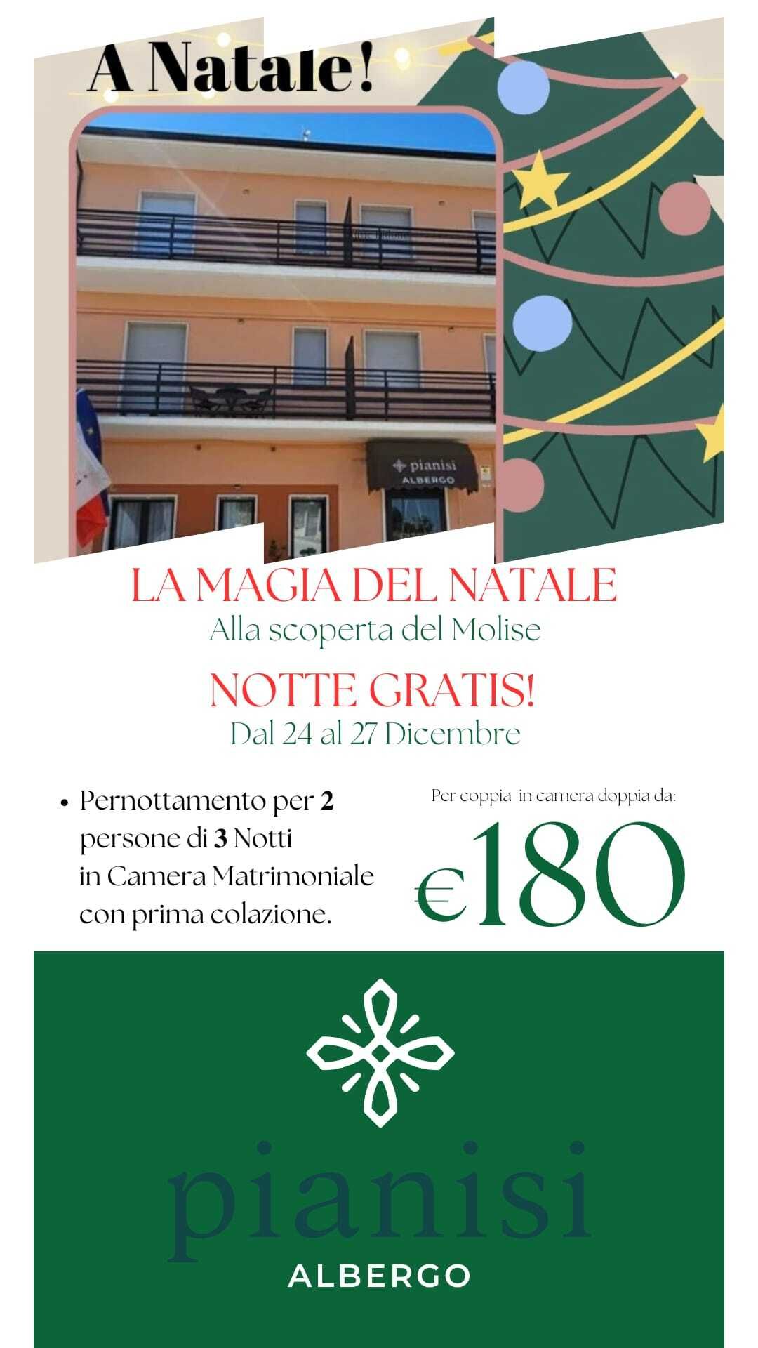 Promozione natalizia in hotel: 