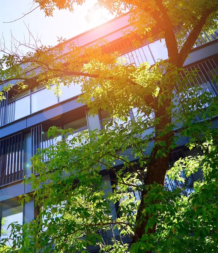 High Aims De Montfort House