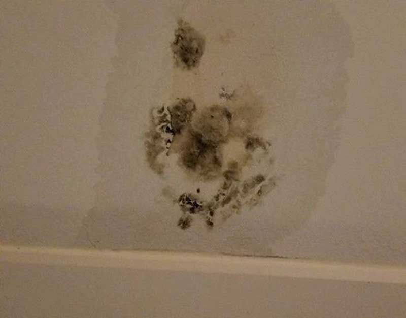 Roof Stain