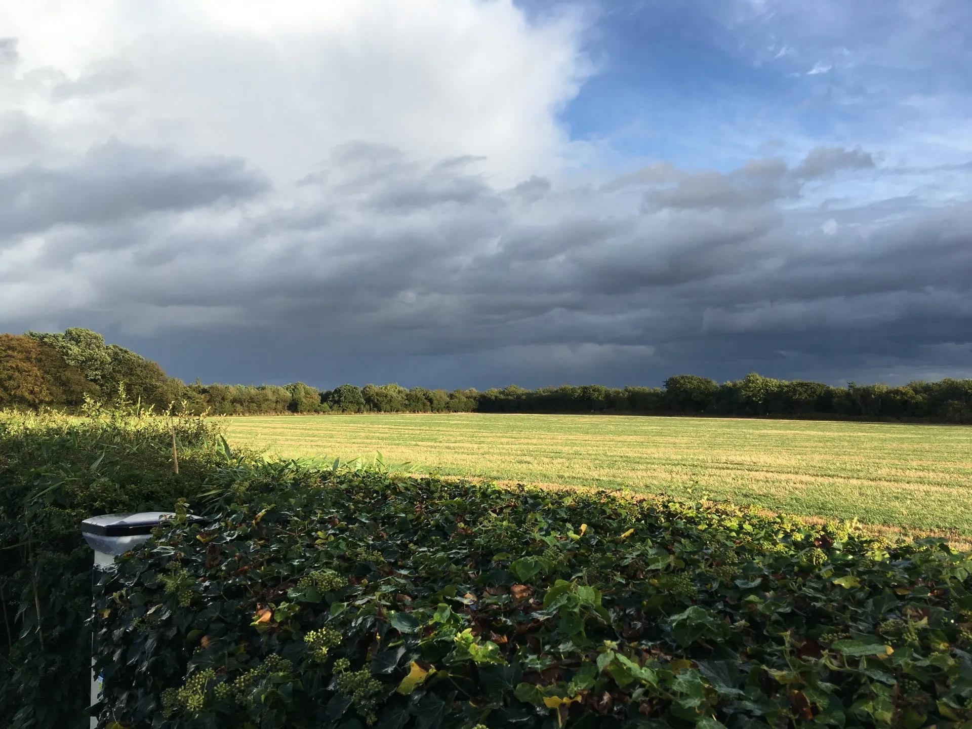 sprawling fields