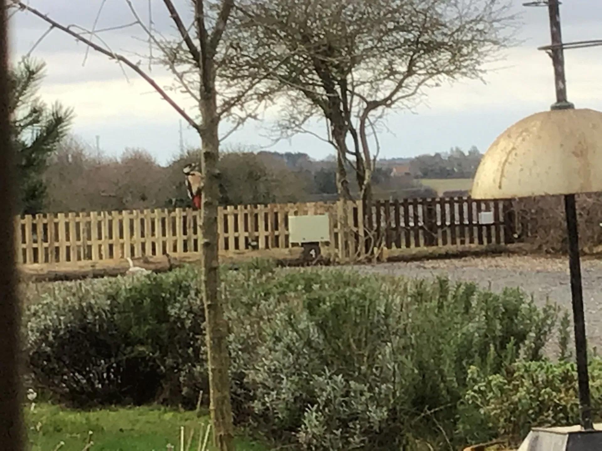 rural fencing