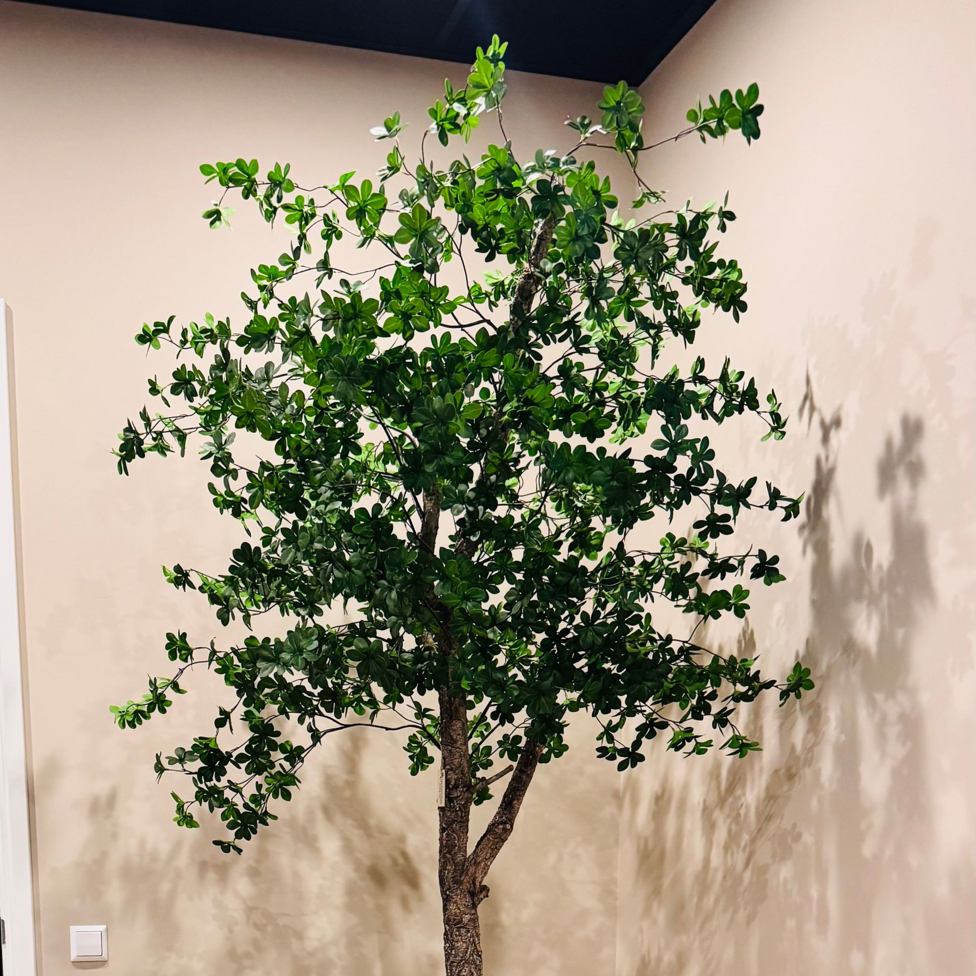 Exclusieve Green tree