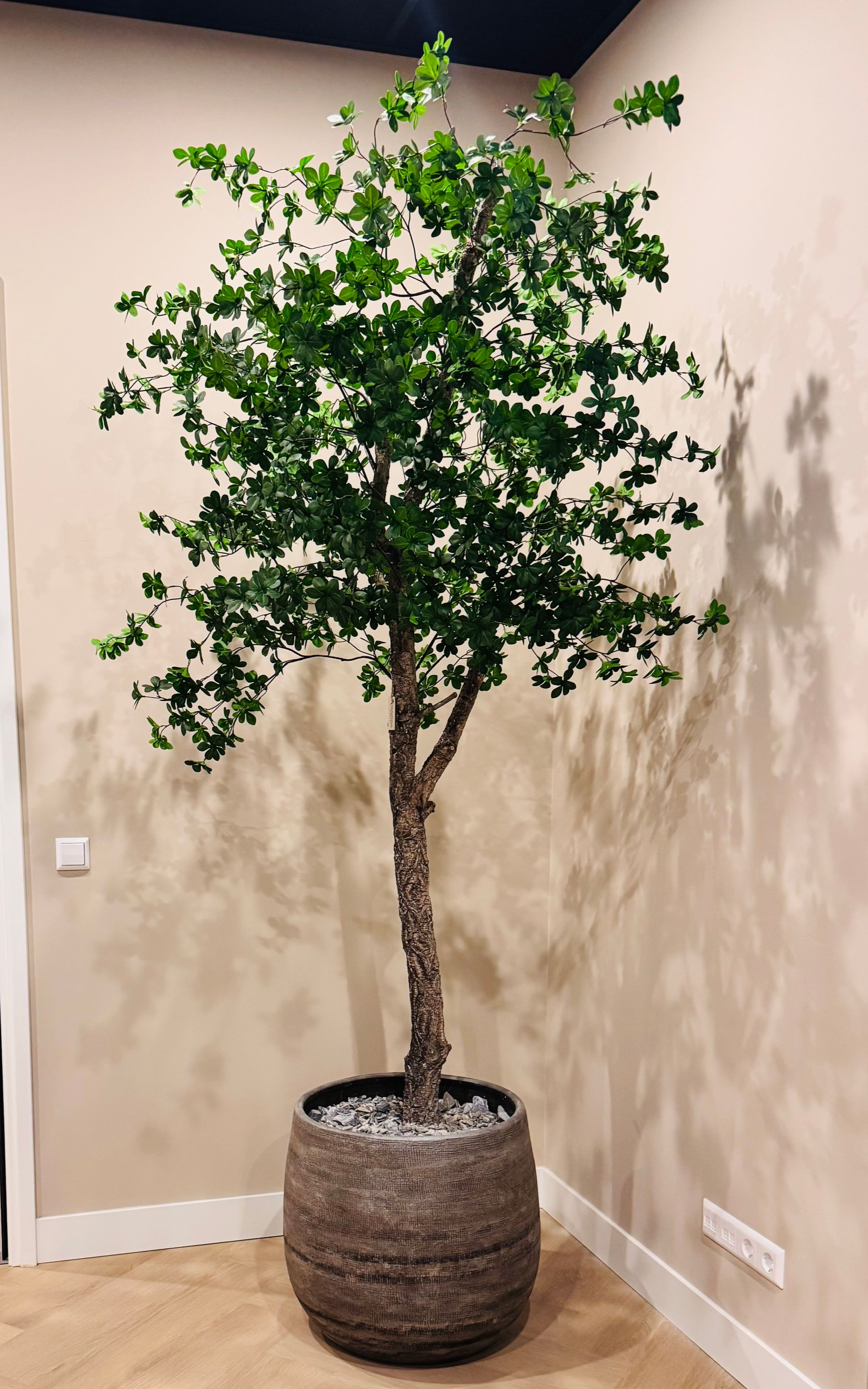 Exclusieve Green tree