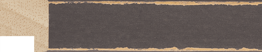 frame sample a14ant