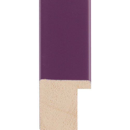 frame sample b06e